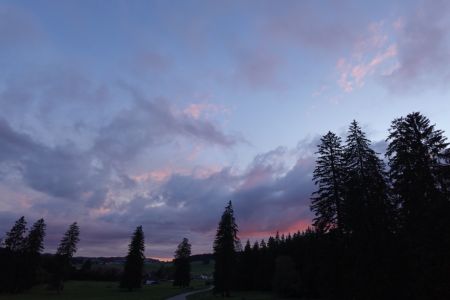 DSC00094.jpg