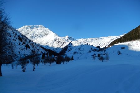 DSCN2458.jpg