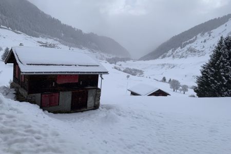 IMG_0861.jpg