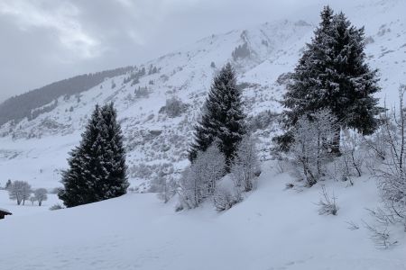 IMG_0862.jpg