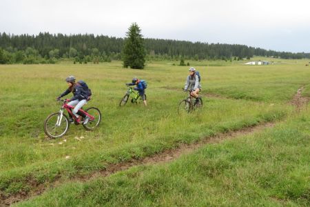 IMG_3210.jpg