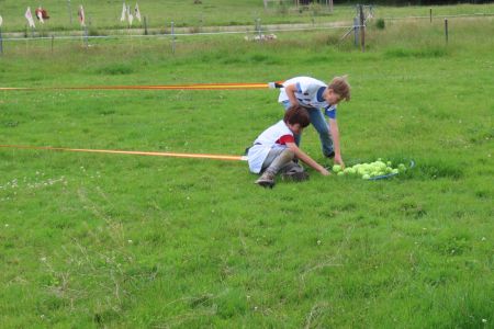IMG_4917.jpg