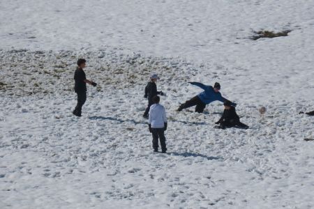 IMG_5561.jpg