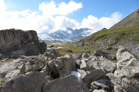 IMG_6008.jpg