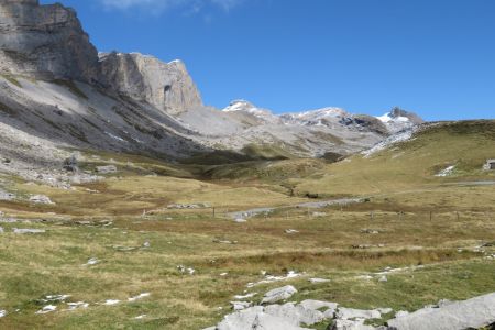 IMG_6009.jpg
