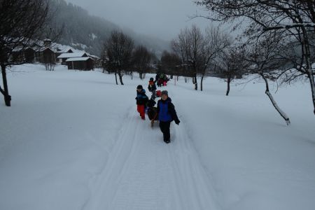 P1000007.jpg