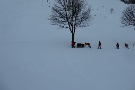 P1000036.jpg
